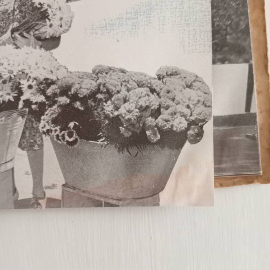 City of Cape Town. Royal Visit 1947. This Souvenir Brochure is produced for the cooperation of the C