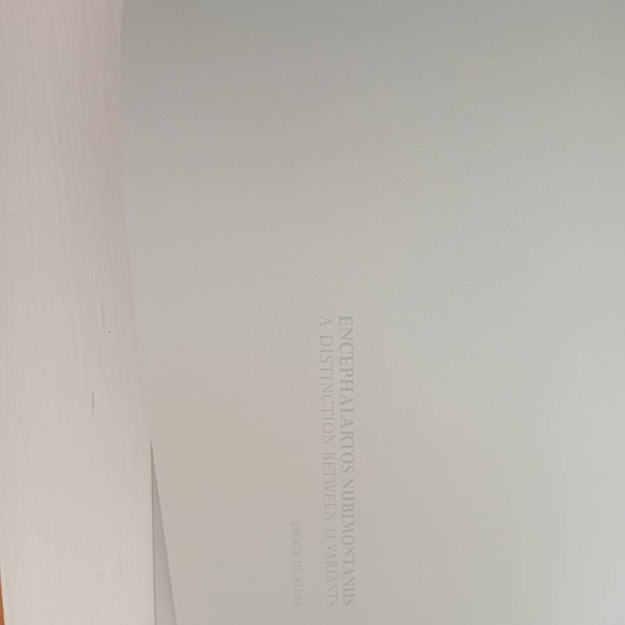 Encephalartos nubimontanus - a distinction between 11 variants - Dr. Diekie de Klerk