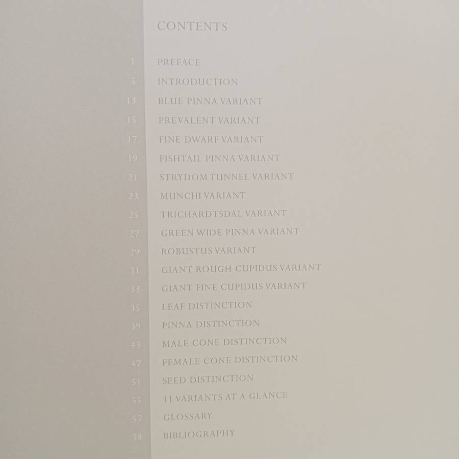 Encephalartos nubimontanus - a distinction between 11 variants - Dr. Diekie de Klerk