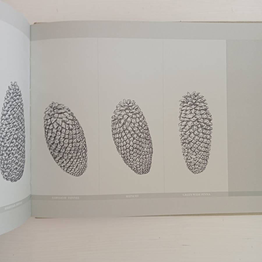 Encephalartos nubimontanus - a distinction between 11 variants - Dr. Diekie de Klerk