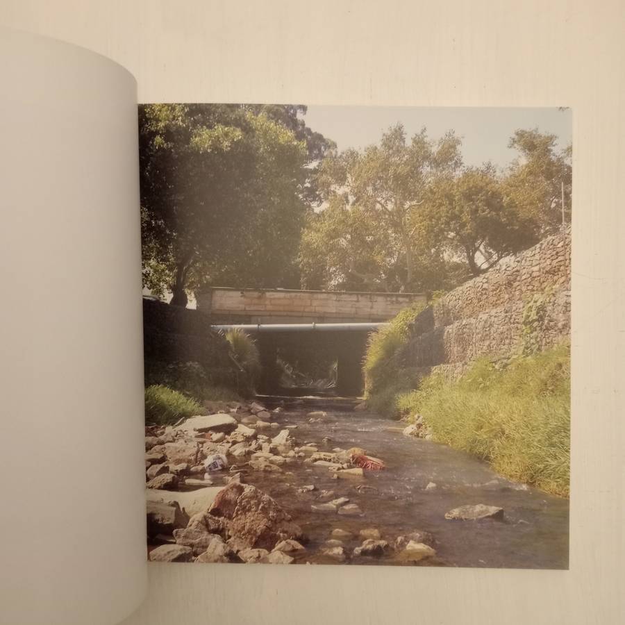 Our Land Ons Land: catalogue - The Pierneef Station Panels Revisited (Carl Becker, Monique Pelser)