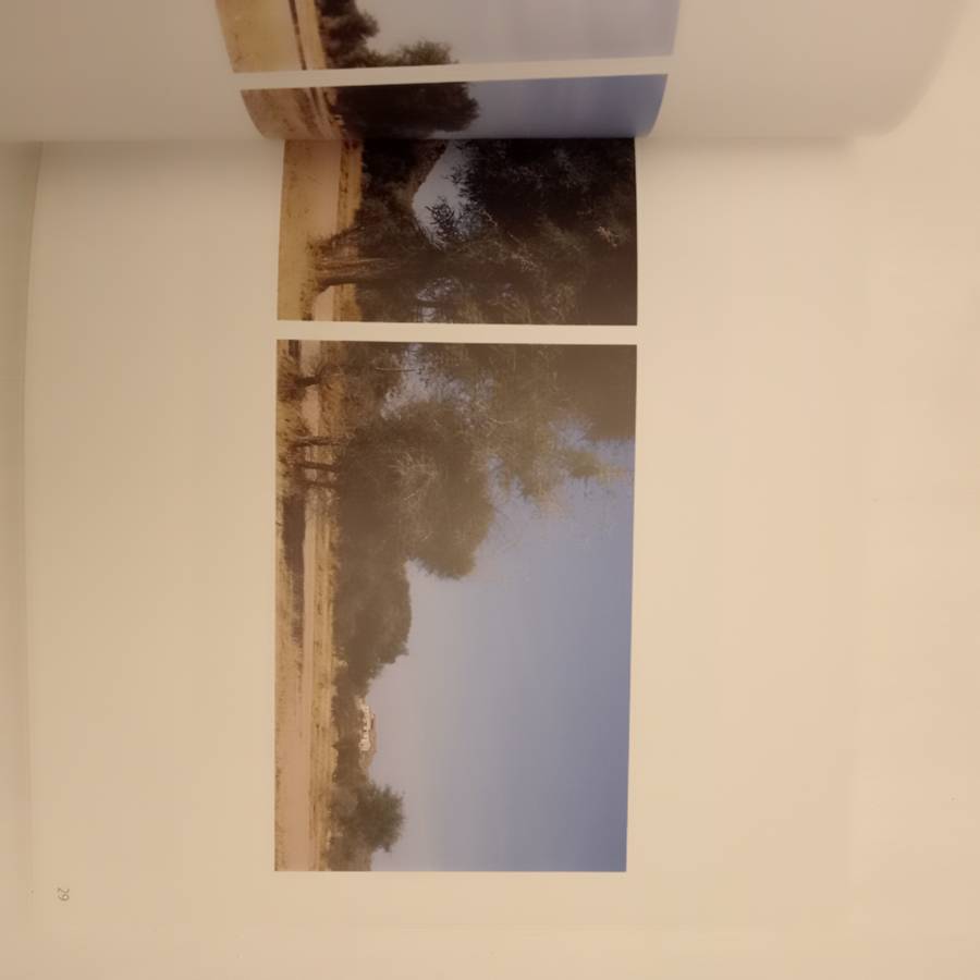 Our Land Ons Land: catalogue - The Pierneef Station Panels Revisited (Carl Becker, Monique Pelser)