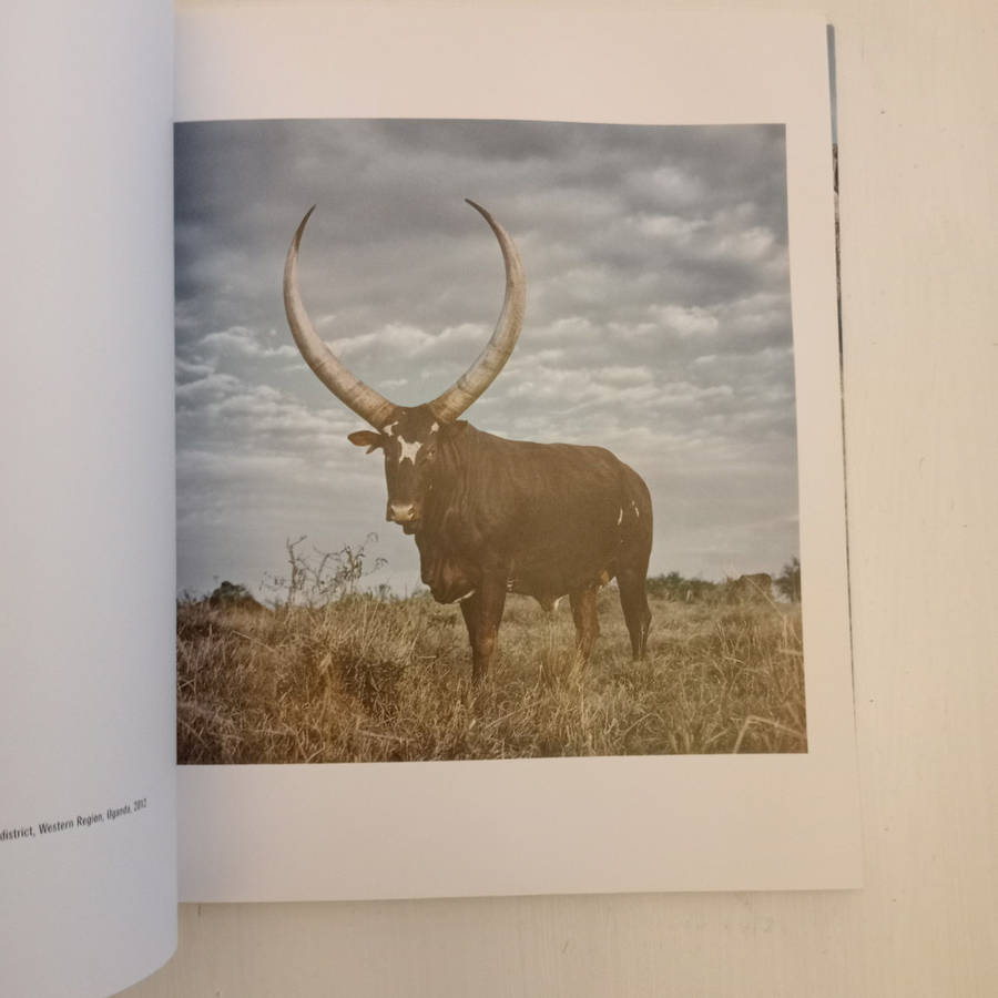Sightings of the Sacred (Daniel Naude)
