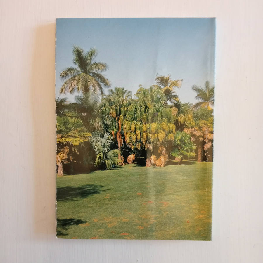 The Palm Collection of the Durban Botanic Gardens: With notes on palm cultivation and identification