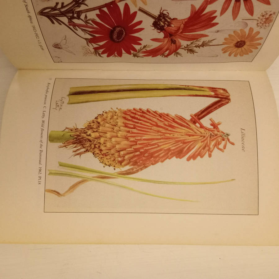 Southern African botanical literature, 1600-1988 (A. S. Kerkham)