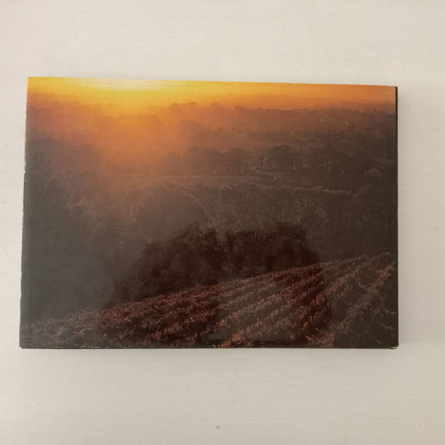 The Great Houses of Constantia (Dane, Philippa : Wallace, Sydney-Anne)