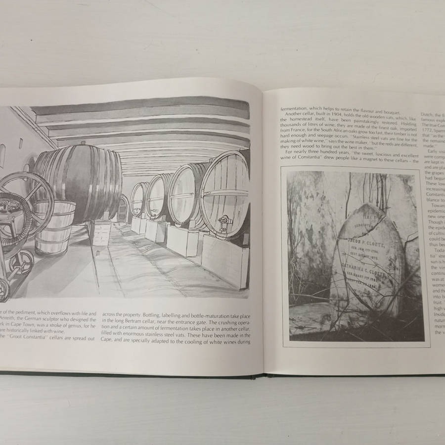 The Great Houses of Constantia (Dane, Philippa : Wallace, Sydney-Anne)