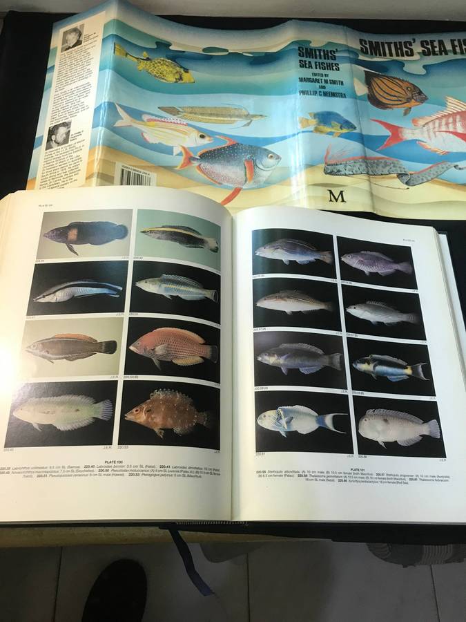 Smith's Sea Fishes Margaret M. Smith