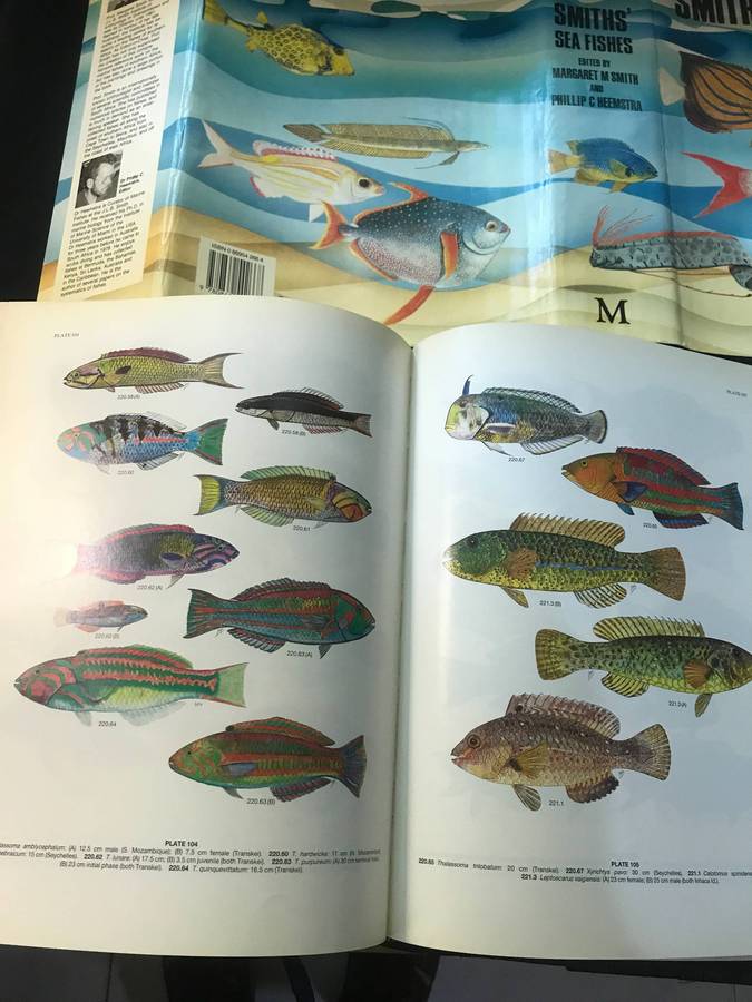 Smith's Sea Fishes Margaret M. Smith