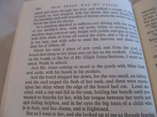 Poignant, lyrical book - How Green was my Valley by Richard Llewellyn