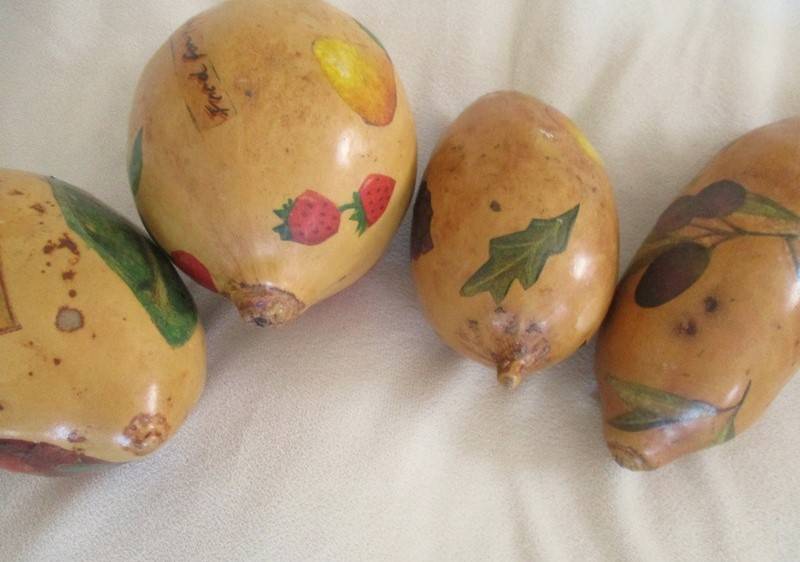 Four real hand painted and very decorative Calabashes
