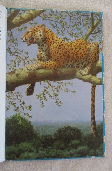 1969 rare ladybird book for the collector - Afrikaans - Die Soogdiere van Afrika