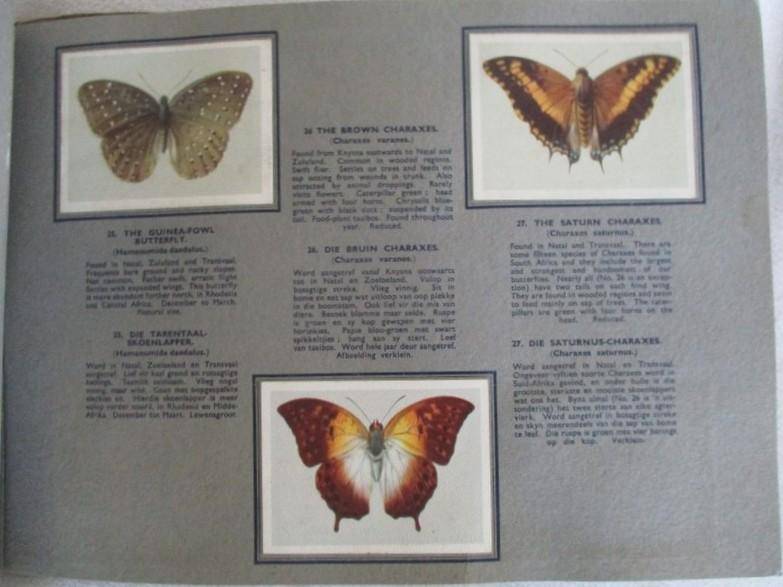 Vintage Bokomo and Springbok cards - two collectable albums on S.A. Butterflies and Moths - complete