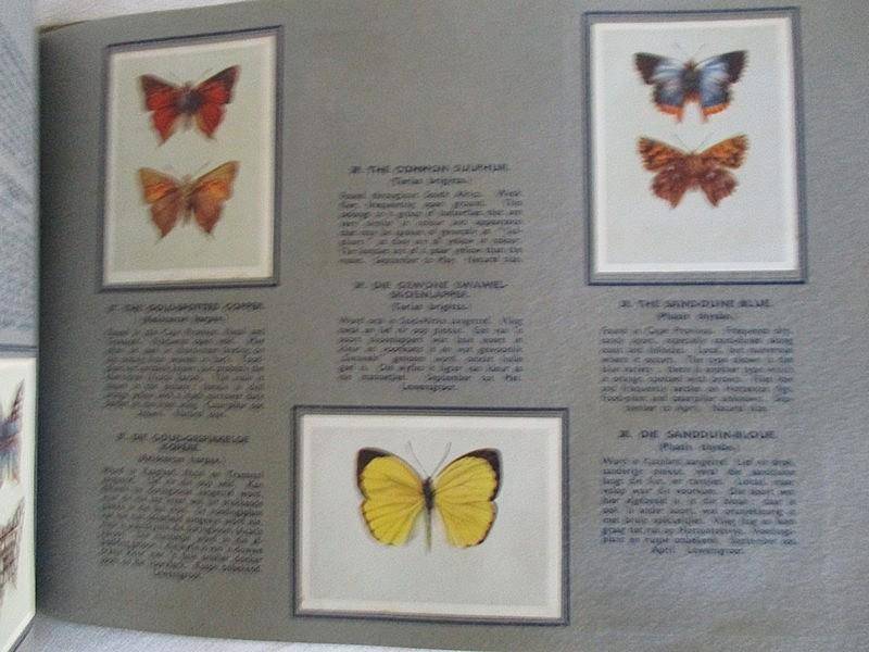 Vintage Bokomo and Springbok cards - two collectable albums on S.A. Butterflies and Moths - complete