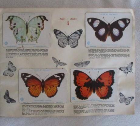 Vintage Bokomo and Springbok cards - two collectable albums on S.A. Butterflies and Moths - complete
