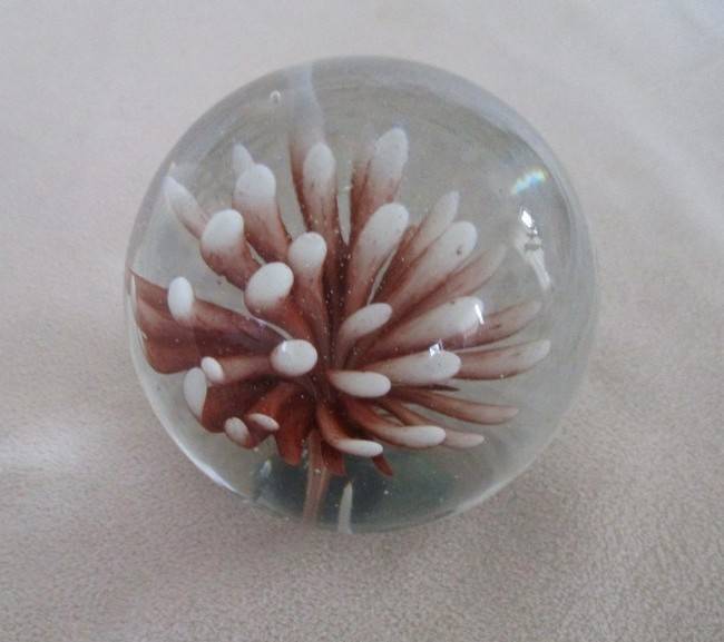 Beautiful glass paperweight with coral image