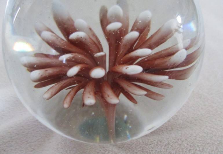 Beautiful glass paperweight with coral image