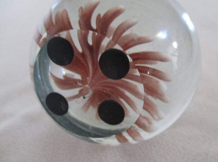 Beautiful glass paperweight with coral image