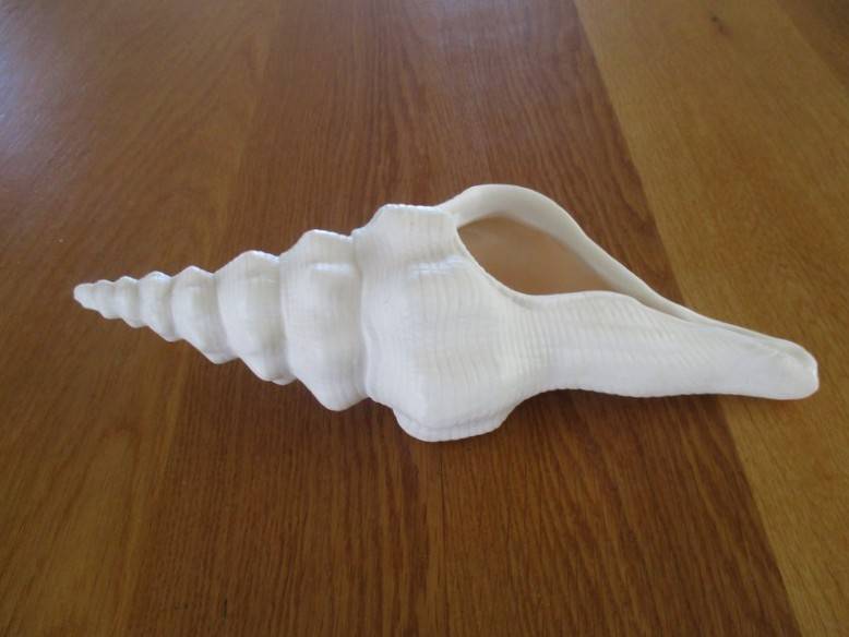 A lovely Luna Del Mar seashell shaped tealight candle holder