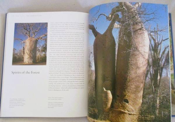 Remarkable Trees of the World by Thomas Pakenham
