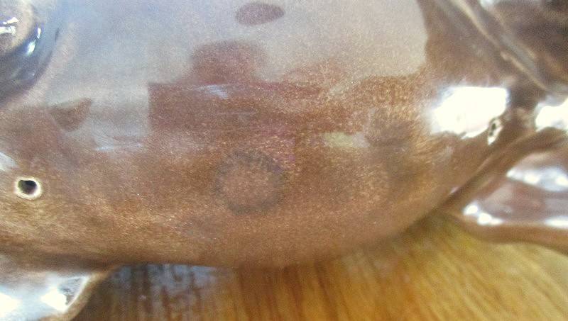 A large vintage porcelain cart horse