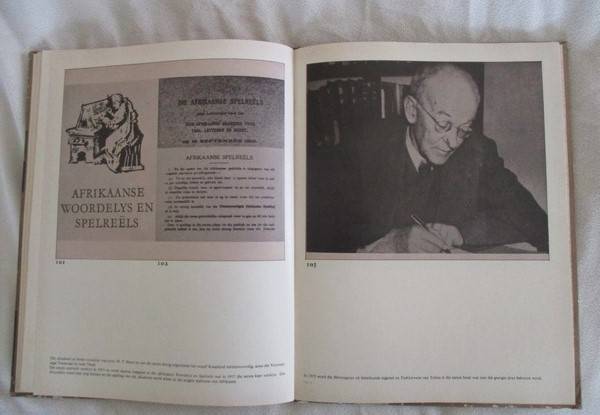 Taal en Beeld - Die geskiedenis van die Afrikaanse Taalbeveging - P.J. Nienaber