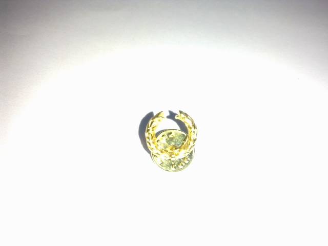 SADF - Laurel Wreath Pin
