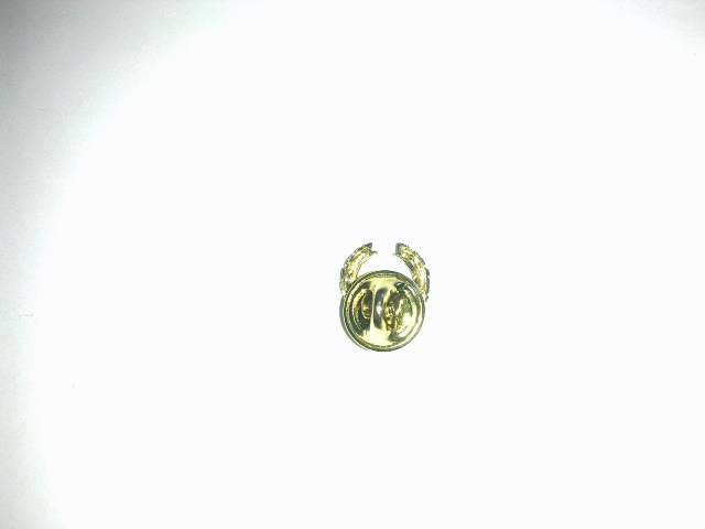 SADF - Laurel Wreath Pin