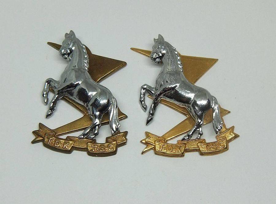 Militaria badge - A pair of vintage South African army Technical Service Corps badges