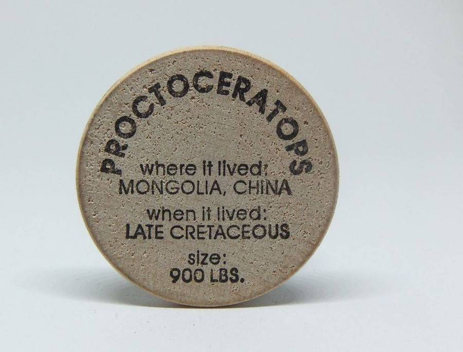 American wooden nickel token -