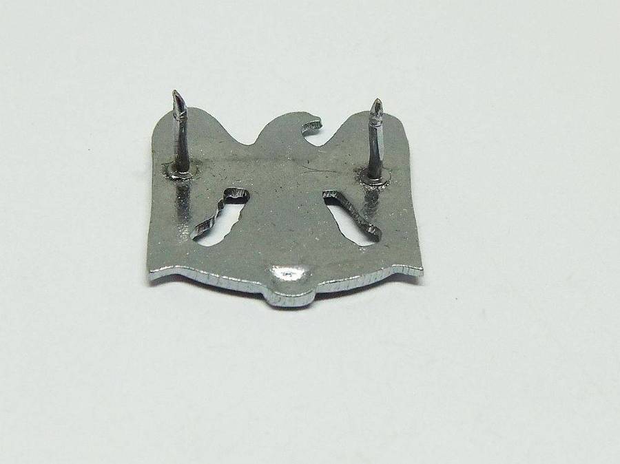 Militaria badge - South African Defence Force Regiment Louw Wepener badge