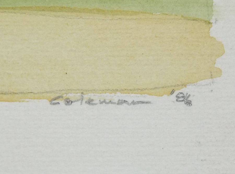 An original watercolour painting of the Caledon wheatlands signed Coleman dated 1986