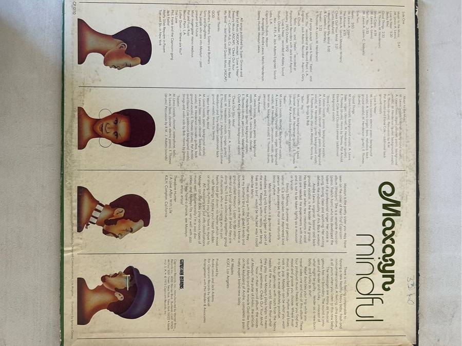 MINDFUL MAXAYN LP VINYL