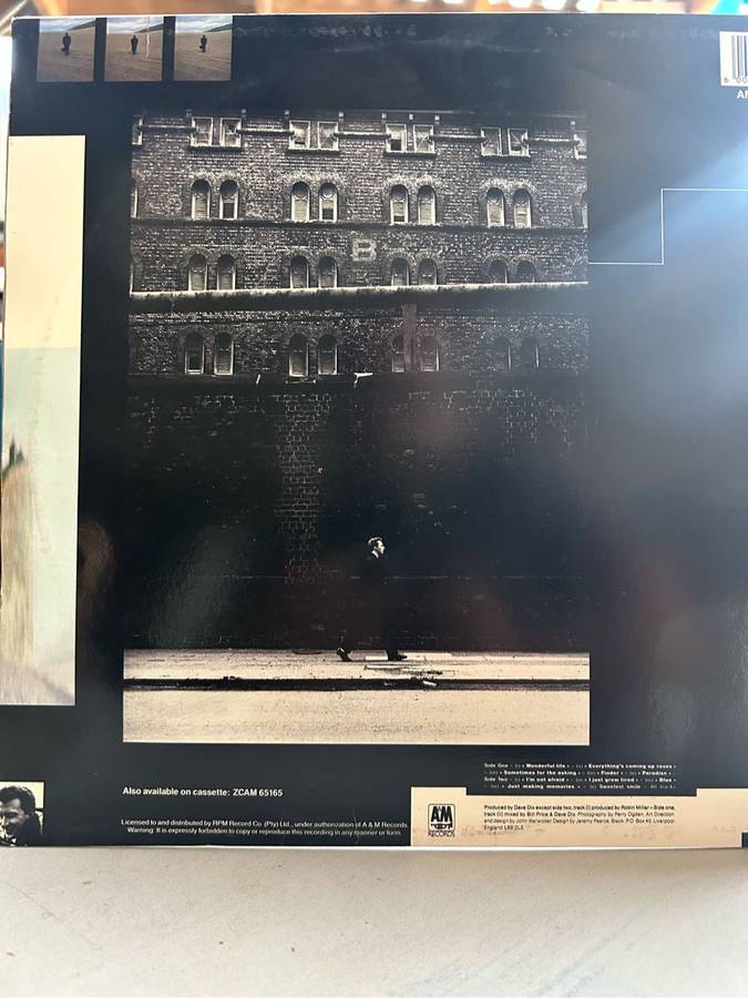 BLACK - WONDERFUL LIFE LP VINYL