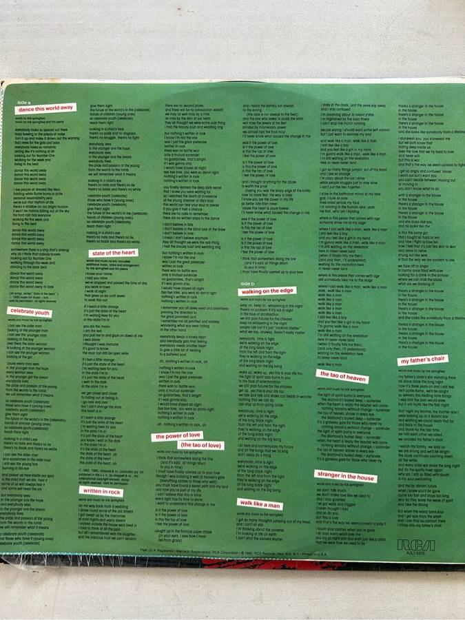 RICK SPRINGFIELD  - TAO LP VINYL