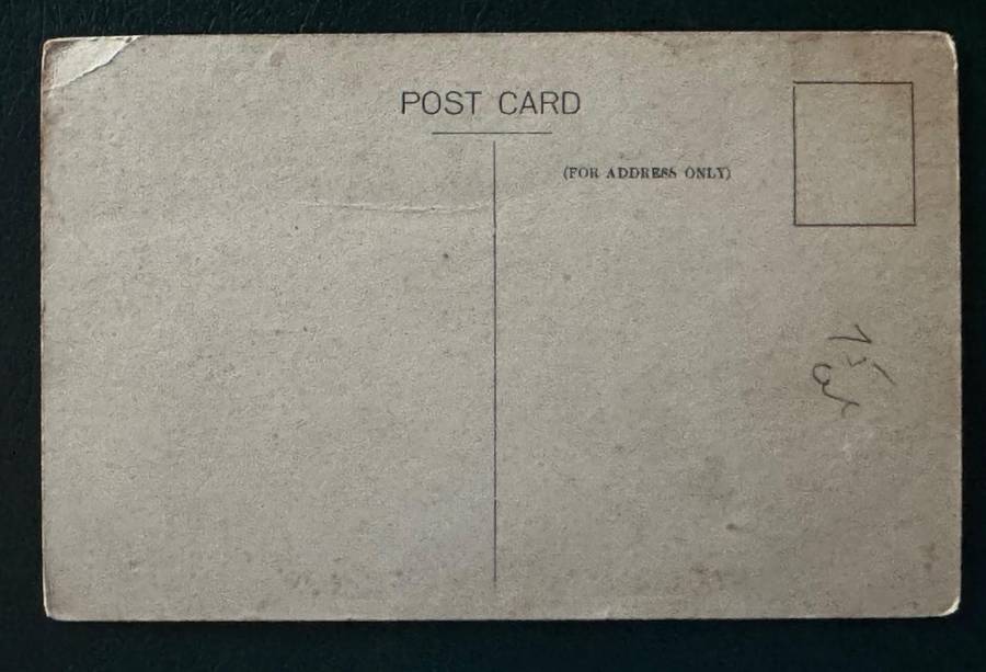 POSTCARD BRIANY CAUE, WATERMOUTH