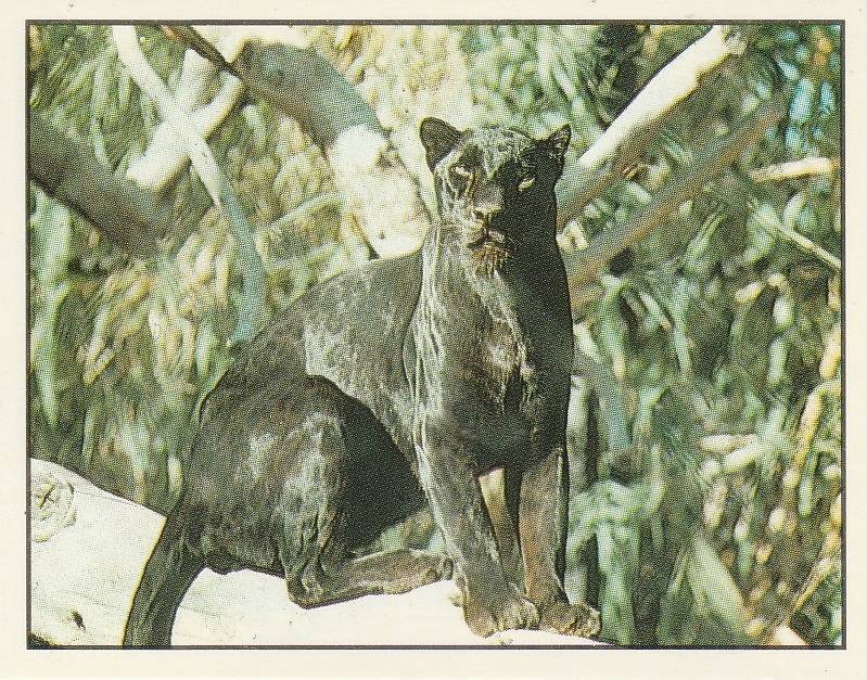 PANINI ANIMALS OF THE WORLD STICKER #117