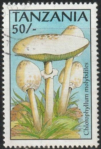 TANZANIA 1993 Fungi VFU SG 1521