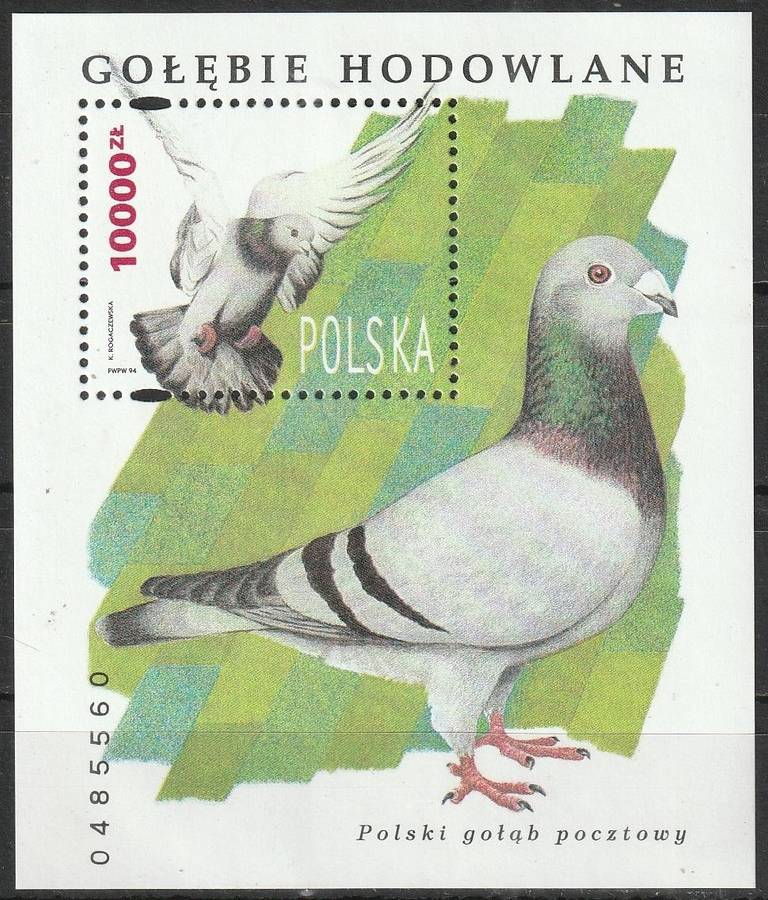 POLAND 1994 Homing Pigeons UMM SG 3542