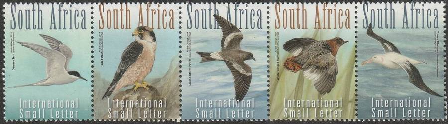 SOUTH AFRICA 2014 Critically Endangered Birds UMM SACC 2274