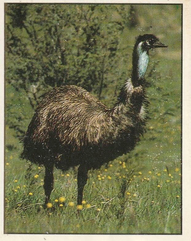 PANINI ANIMALS OF THE WORLD STICKER #149