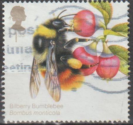 ENGLAND 2015 Bees FINE USED SG 2739
