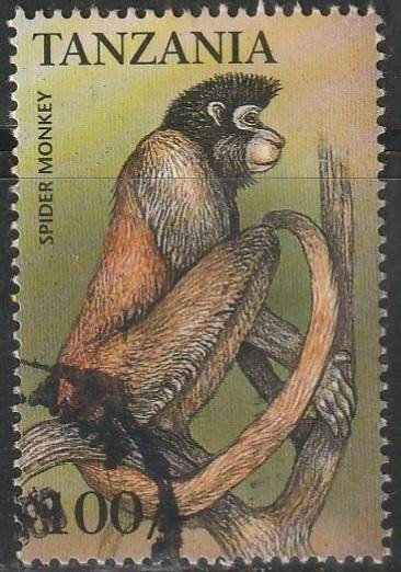 THEMATIC ANIMALS TANZANIA VFU
