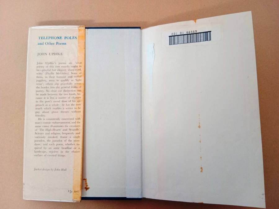 Telephone Poles and other Poems, John Updike