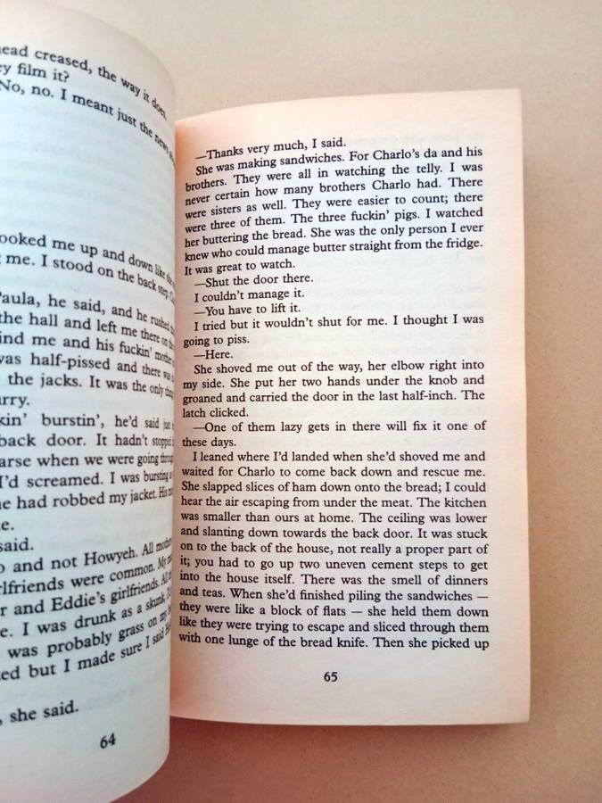 The Woman Who Walked into Doors, Roddy Doyle