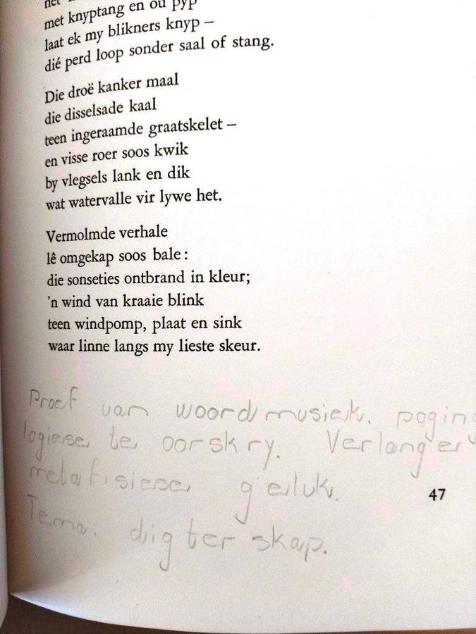 Anderkant Besit, Ernst van Heerden ['n digbundel]