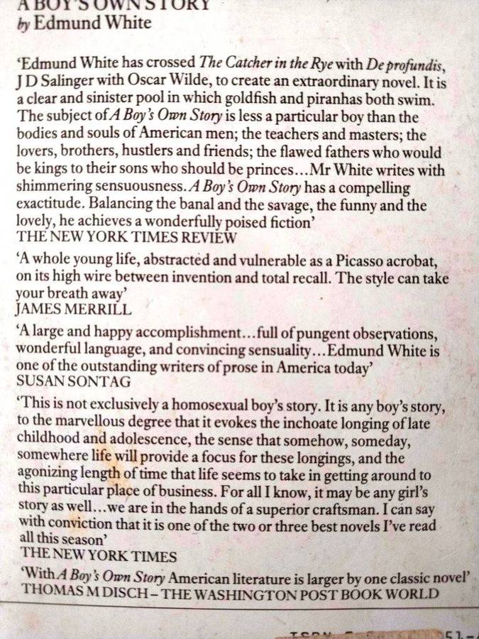 A Boy's Own Story, Edmund White