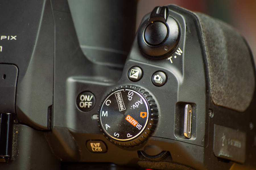 Fuji Finepix S1 50X Optical Zoom (A Beast of a Camera)