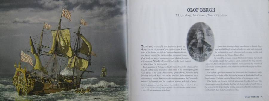 Rouges to Riches The Fortunes of Olof Berg and the Van der Stels Marius Diemont