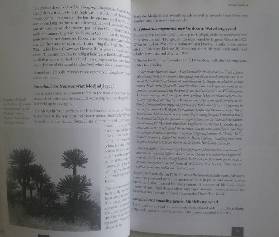 Remarkable Trees of South Africa Neels Esterhuyse | Jutta von Breitenbach | Hermien Sohnge